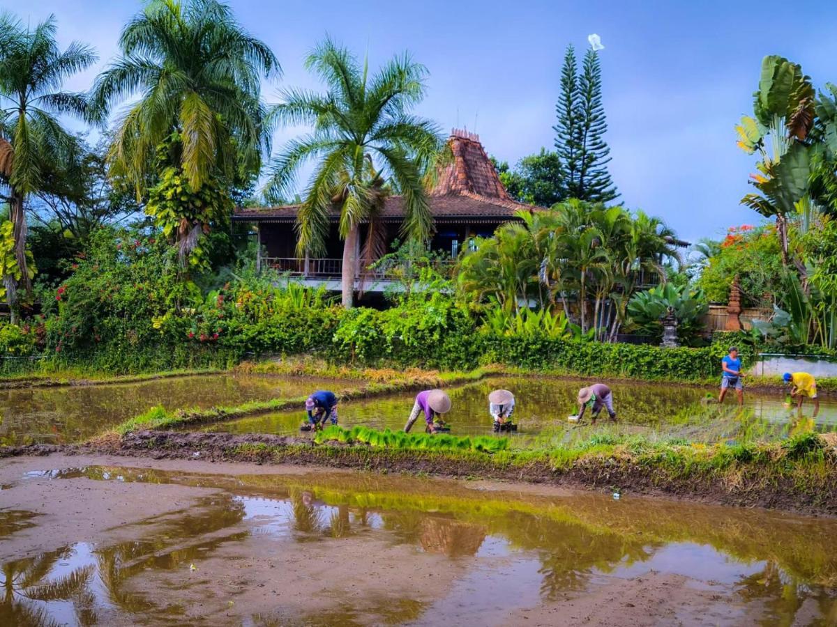 Ayu Dira Heritage House Ubud Exteriör bild